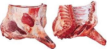 Forequarter, straight cut